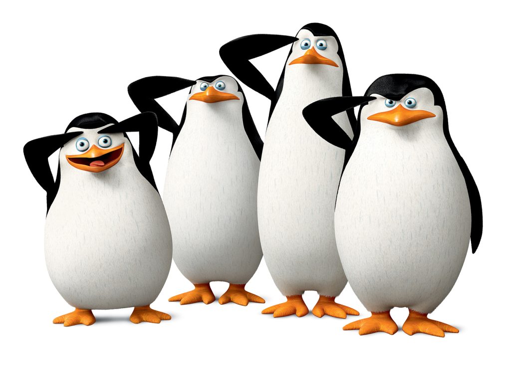 como se llaman los pinguinos de madagascar
